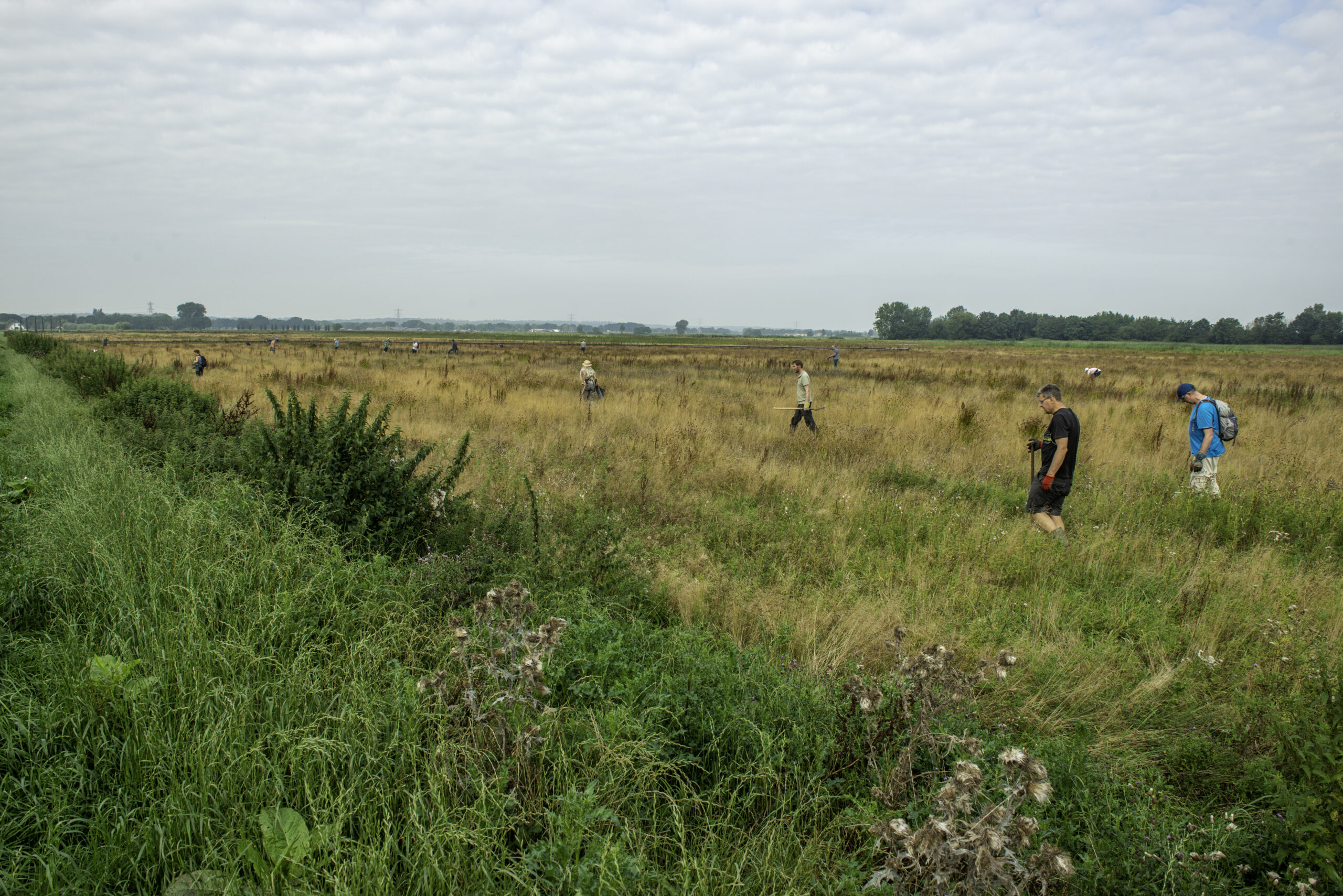 Binnenveldse Hooilanden